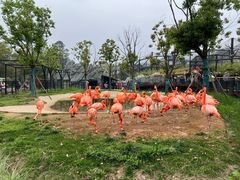 -武汉动物园
