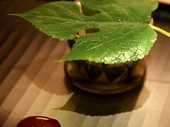 -炎橘·板前料理 Omakase