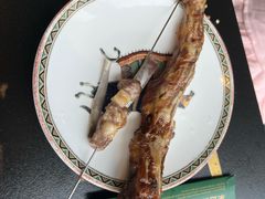 -蒙料·手把肉(望京店)