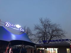 -唐廊烤鸭店(工体店)