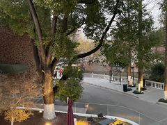 -J Create城市露营咖啡·简餐·宠物(上海动物园店)