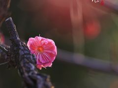 -尚贤河湿地