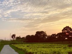 -汉长安城未央宫国家考古遗址公园