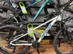 -道路口单车爱瓦士dahon大行