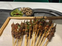 -山野的朋友露营炭火烤肉