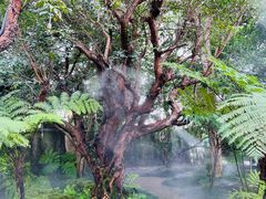 -Chom Cafe and Restaurant