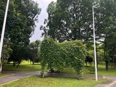 -东莞植物园