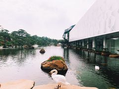 -罗红摄影艺术馆