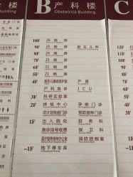 -复旦大学附属妇产科医院(杨浦院区)