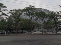 -凤凰中心
