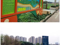 -文华公园(禅城区)