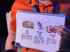 -太平洋海底世界