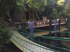 -海南槟榔谷黎苗文化旅游区