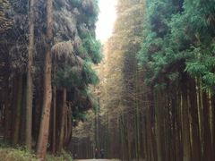 -山王坪喀斯特国家生态公园