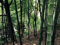-峙山公园