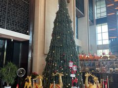 -深圳雅邦朗悦国际酒店