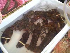 -大湾区中央湿地公园-十九涌