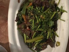 香菜炒牛肉-新阳光大酒店