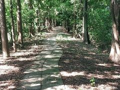 -上海长兴岛郊野公园