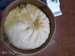 -绿园春早茶