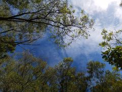 -梧桐山风景名胜区