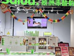 -Salud撒露欧洲冻酸奶(北苑上品店)