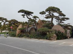 -罗红摄影艺术馆