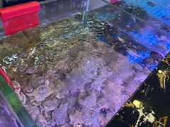 -金海湾海鲜排档(朱家尖店)