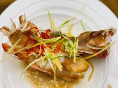 清蒸红灯鱼-东海酒家(长平东路店)