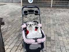 -北京水岸山吧度假村(雁栖镇店)