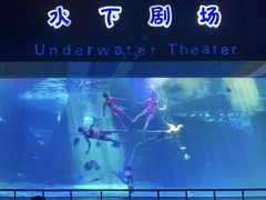 -泉城欧乐堡海洋极地世界