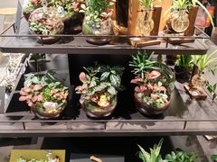 -四季民福烤鸭店(前门店)