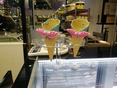-野人先生现做冰淇淋(西安赛格店)