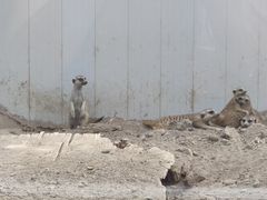 -新疆天山野生动物园