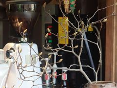 -MOJ coffee(瓯海泽雅水碓坑店)