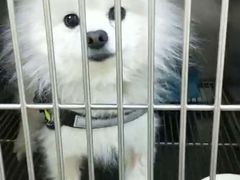 -美联众合动物医院·24h京西诊疗中心