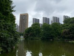 -龙头寺公园