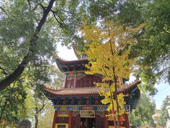 -宝通禅寺