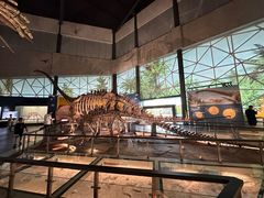 -湖南省地质博物馆