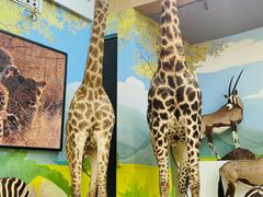 -陕西自然博物馆