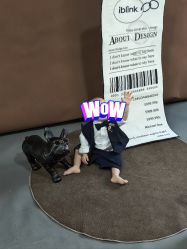 -墨飞私家婴童家庭映像馆(安吉万达店)
