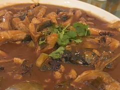 垮炖鱼-观澜湖底捞(观澜墅店)