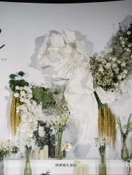 -明典婚礼策划·婚车租赁·婚纱摄影