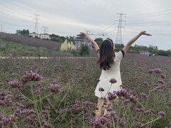 -紫颐香薰山谷景区