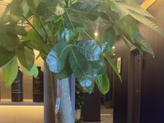 -鹿栖.精油SPA(金山世纪城店)