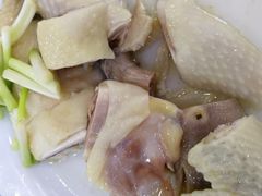 -红星光发煲仔饭(大石街店)