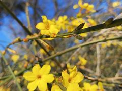 -北京鹫峰国家森林公园