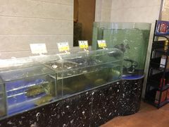 -红城阁·上海味道(四平路店)