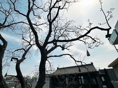 -zarah(鼓楼店)