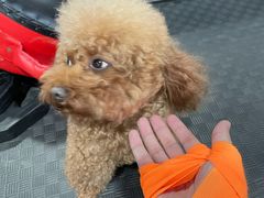 -FIGHTMAN格斗俱乐部(长宁临空店)